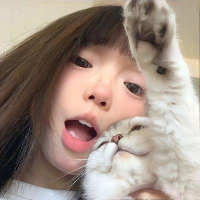 麦兜故事